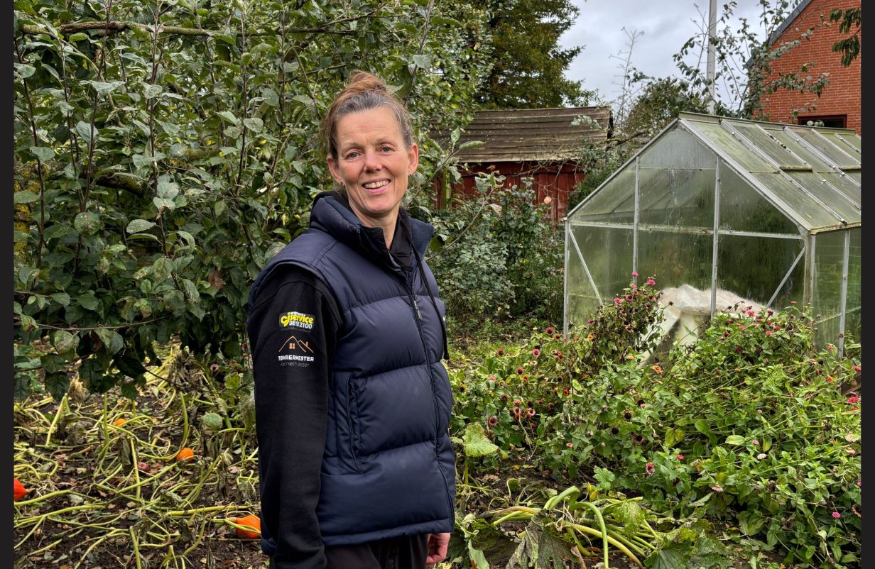 Skabelon-fotos-3-aspect-ratio-1232-802