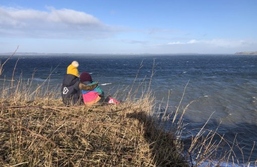 IMG_0078-scaled-aspect-ratio-1232-802