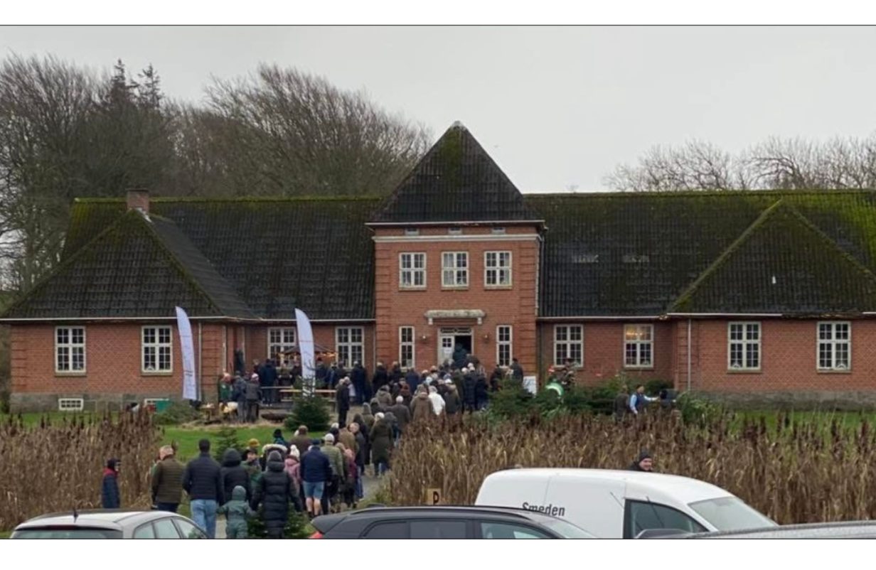 Skabelon-fotos-3-aspect-ratio-1232-802