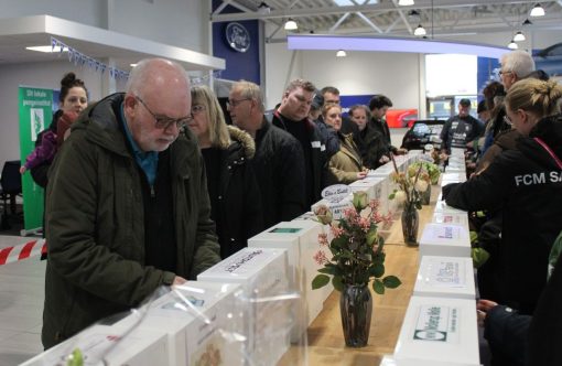 260117-mors-chancen-aspect-ratio-1232-802