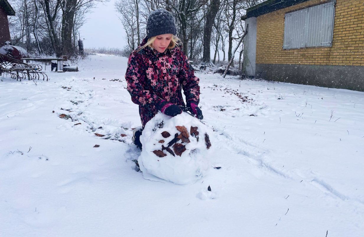 Skabelon-fotos183-aspect-ratio-1232-802