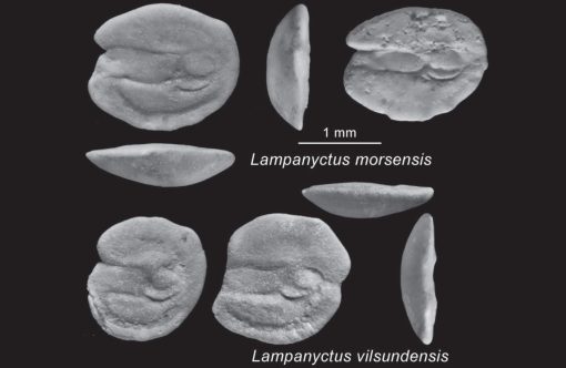 design-uden-navn108-aspect-ratio-1232-802