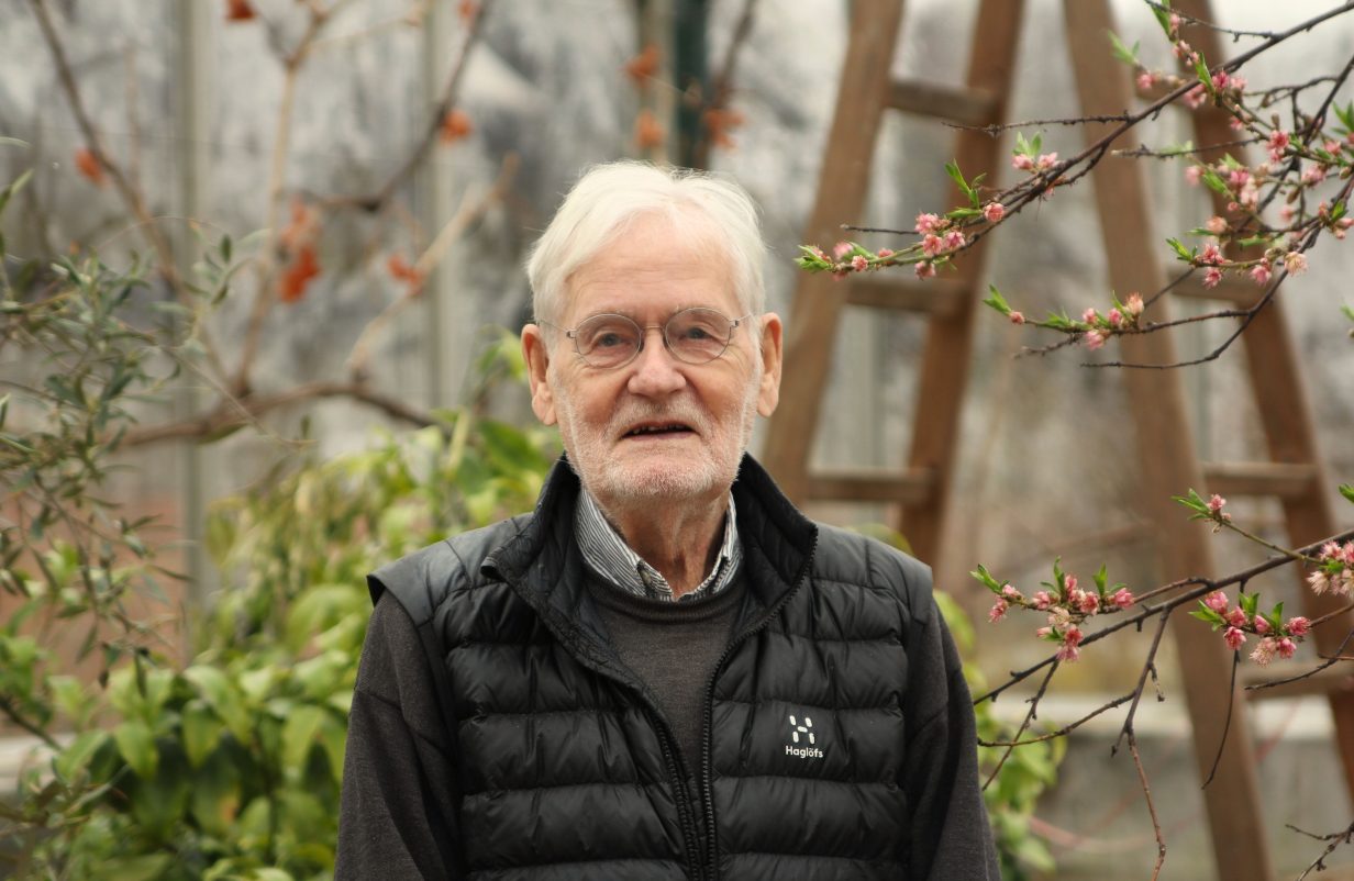 design-uden-navn110-aspect-ratio-1232-802