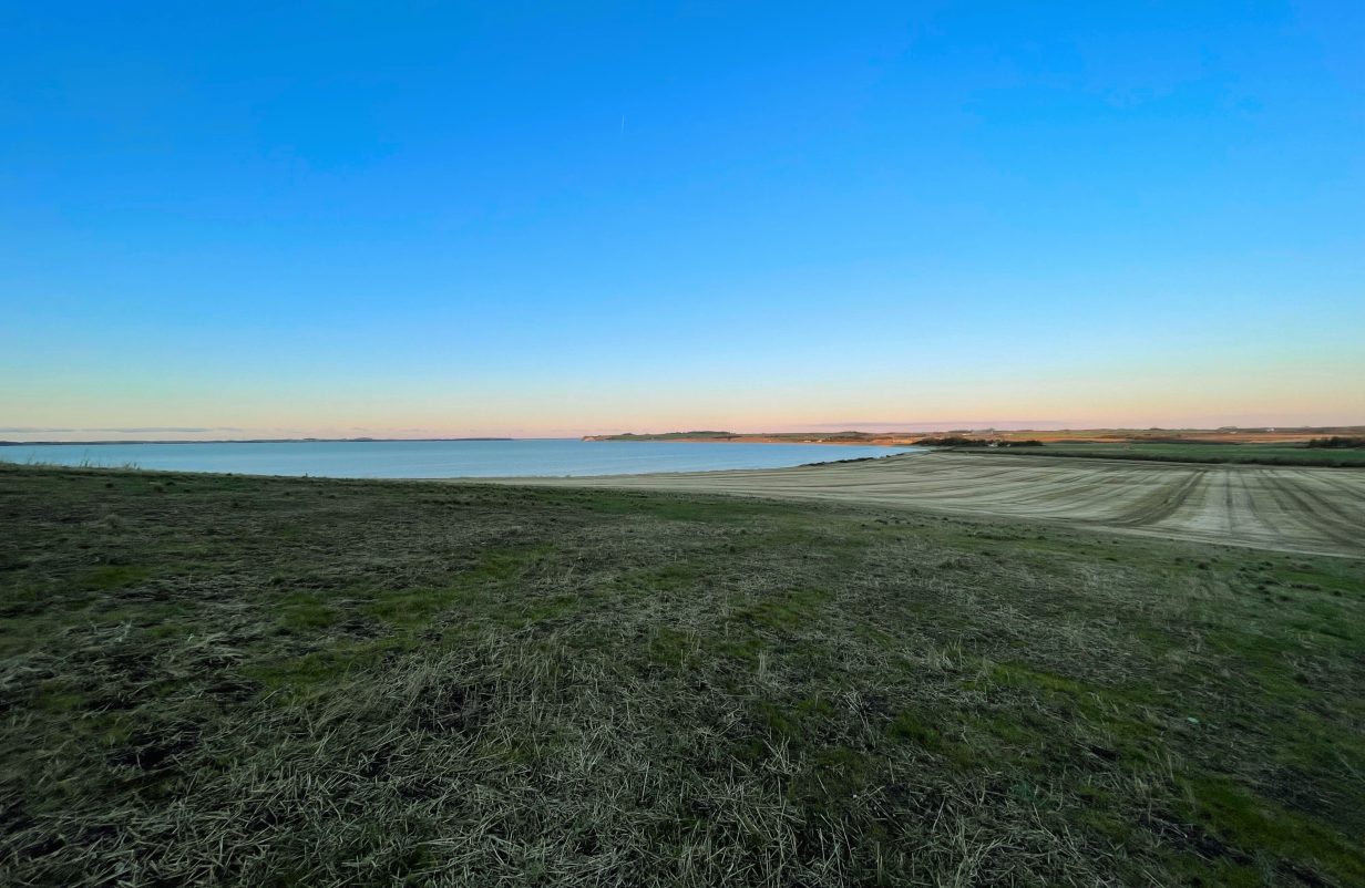 design-uden-navn67-aspect-ratio-1232-802