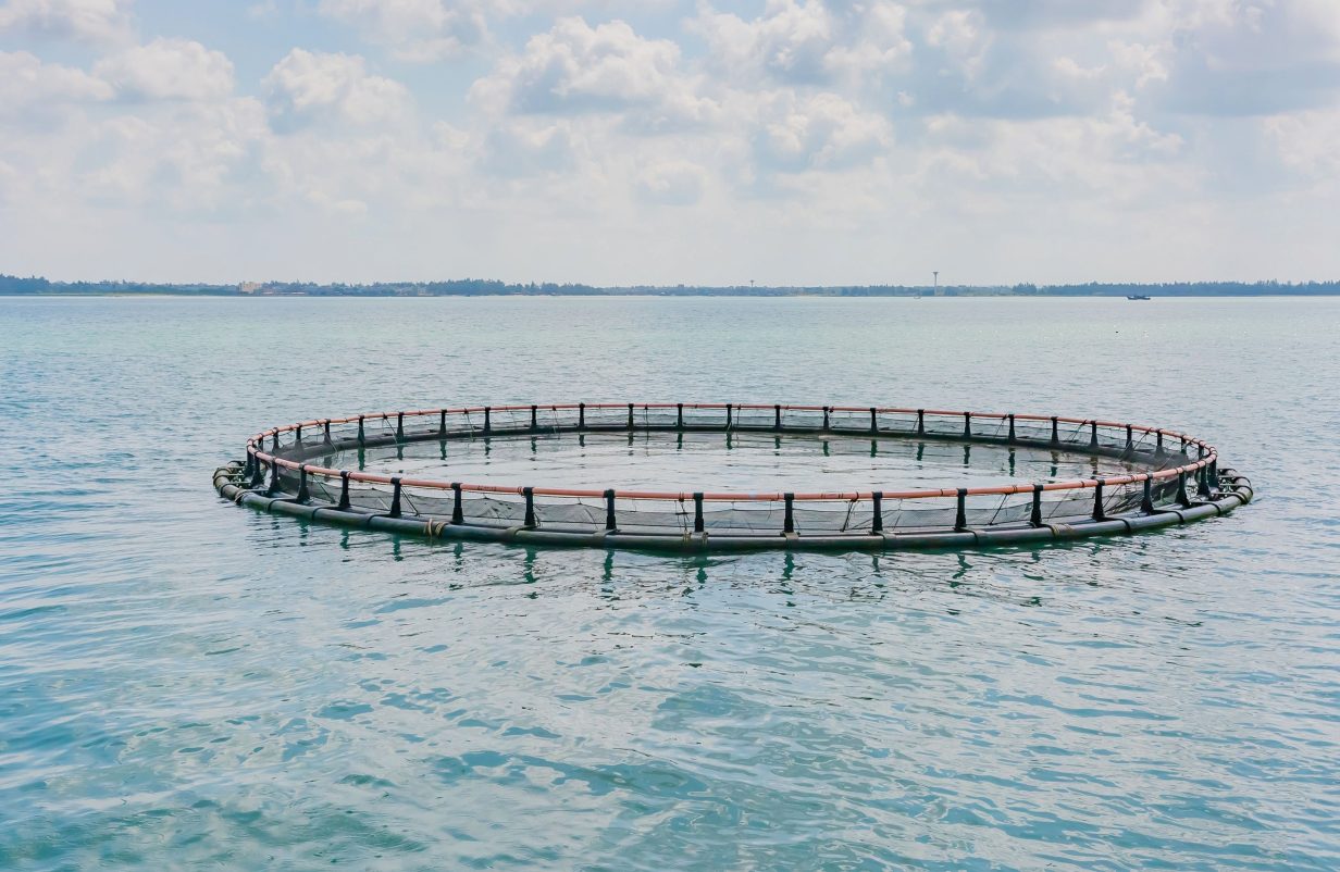 Akvakultur-aspect-ratio-1232-802