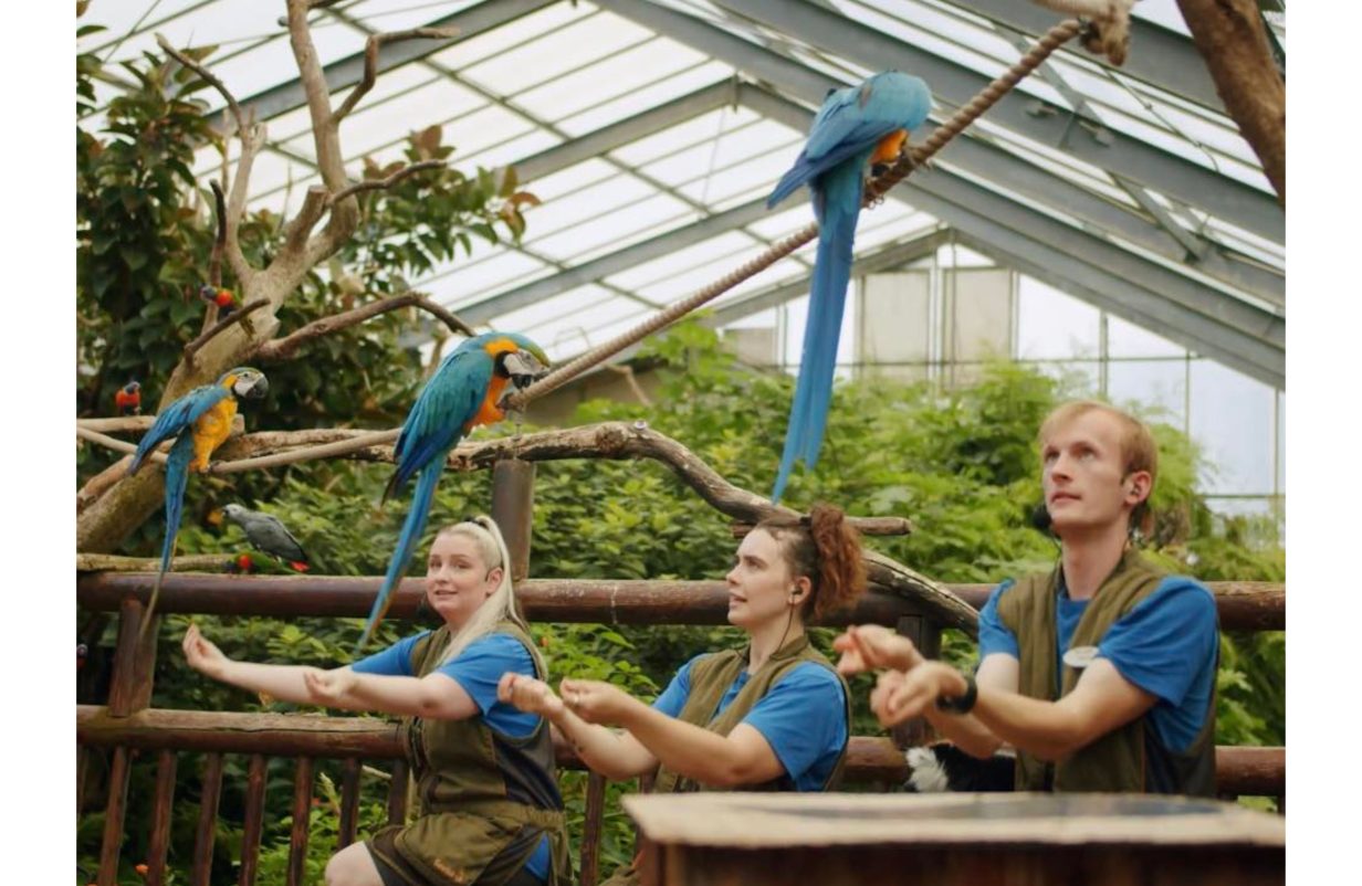 design-uden-navn218-aspect-ratio-1232-802