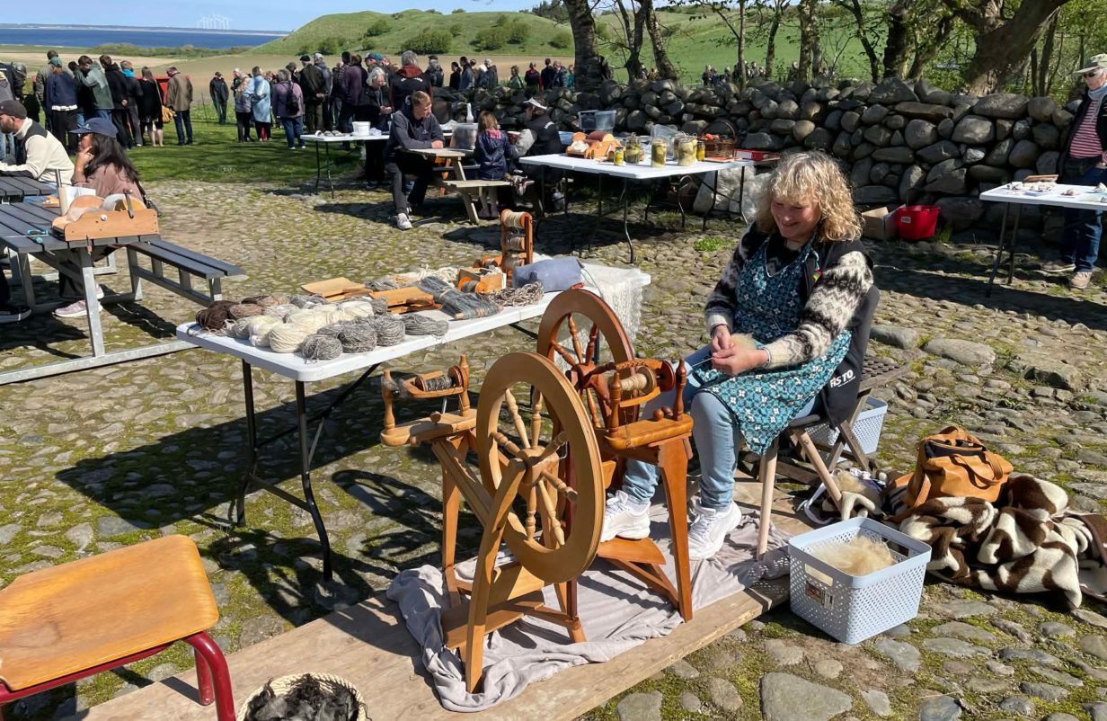 design-uden-navn245-aspect-ratio-1232-802