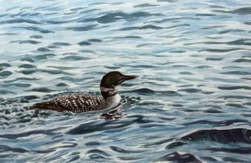 design-uden-navn248-aspect-ratio-1232-802