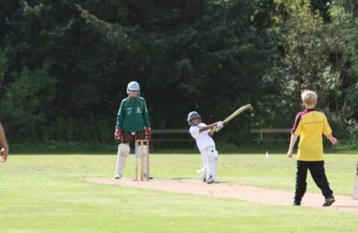Cricket-aspect-ratio-1232-802