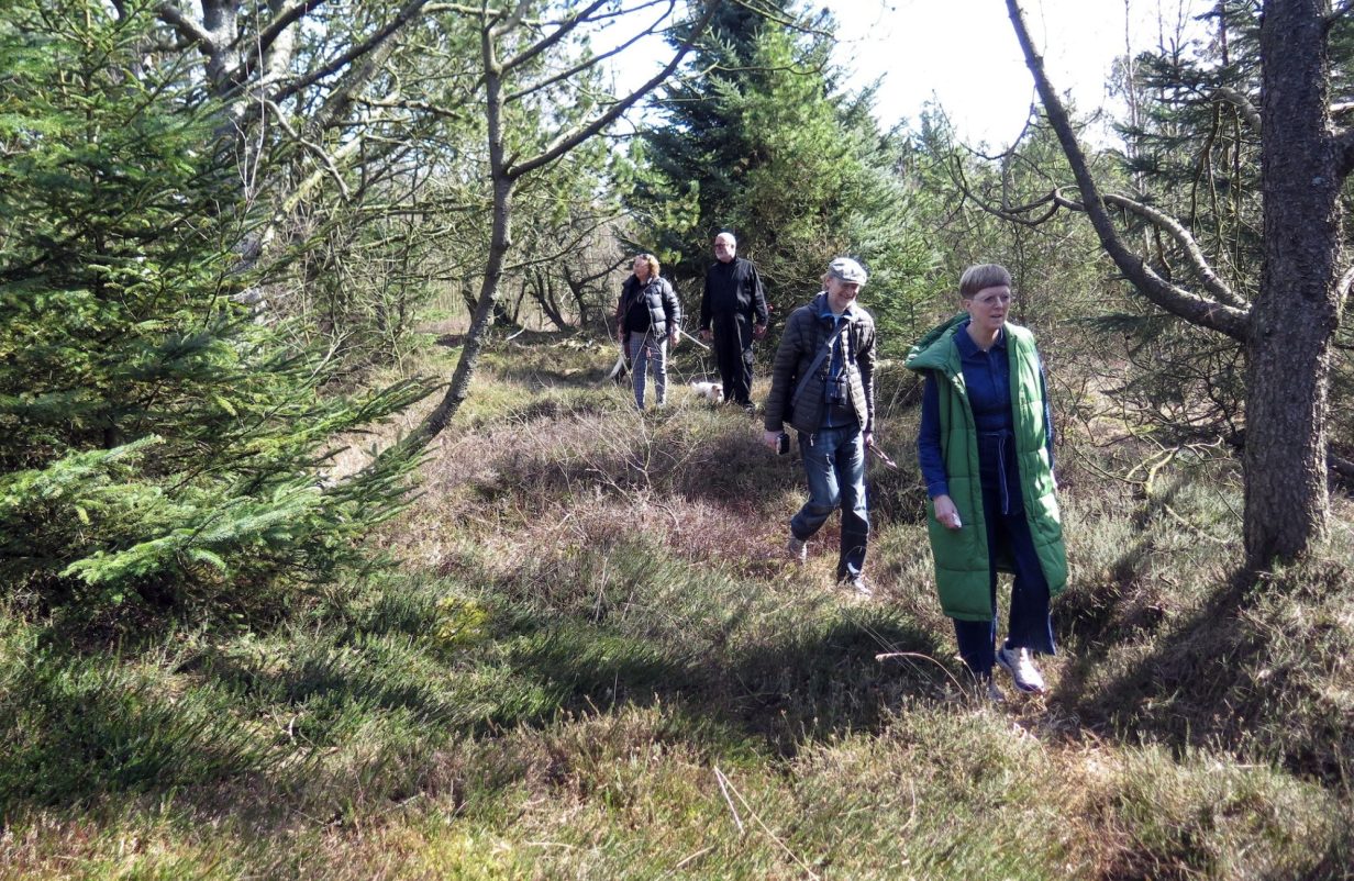 Dueholmkilen-Krydsning-Naessundvej-Cykelbro-Tegning-1.pdf94-aspect-ratio-1232-802
