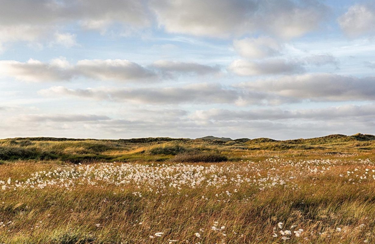 Dueholmkilen-Krydsning-Naessundvej-Cykelbro-Tegning-1.pdf434-aspect-ratio-1232-802