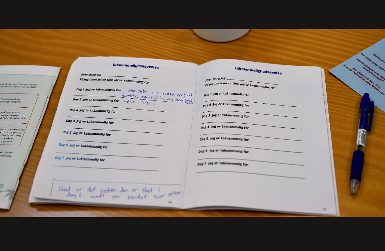 Unavngivet-1232-x-802-px-2025-11-26T120247.099-aspect-ratio-1232-802