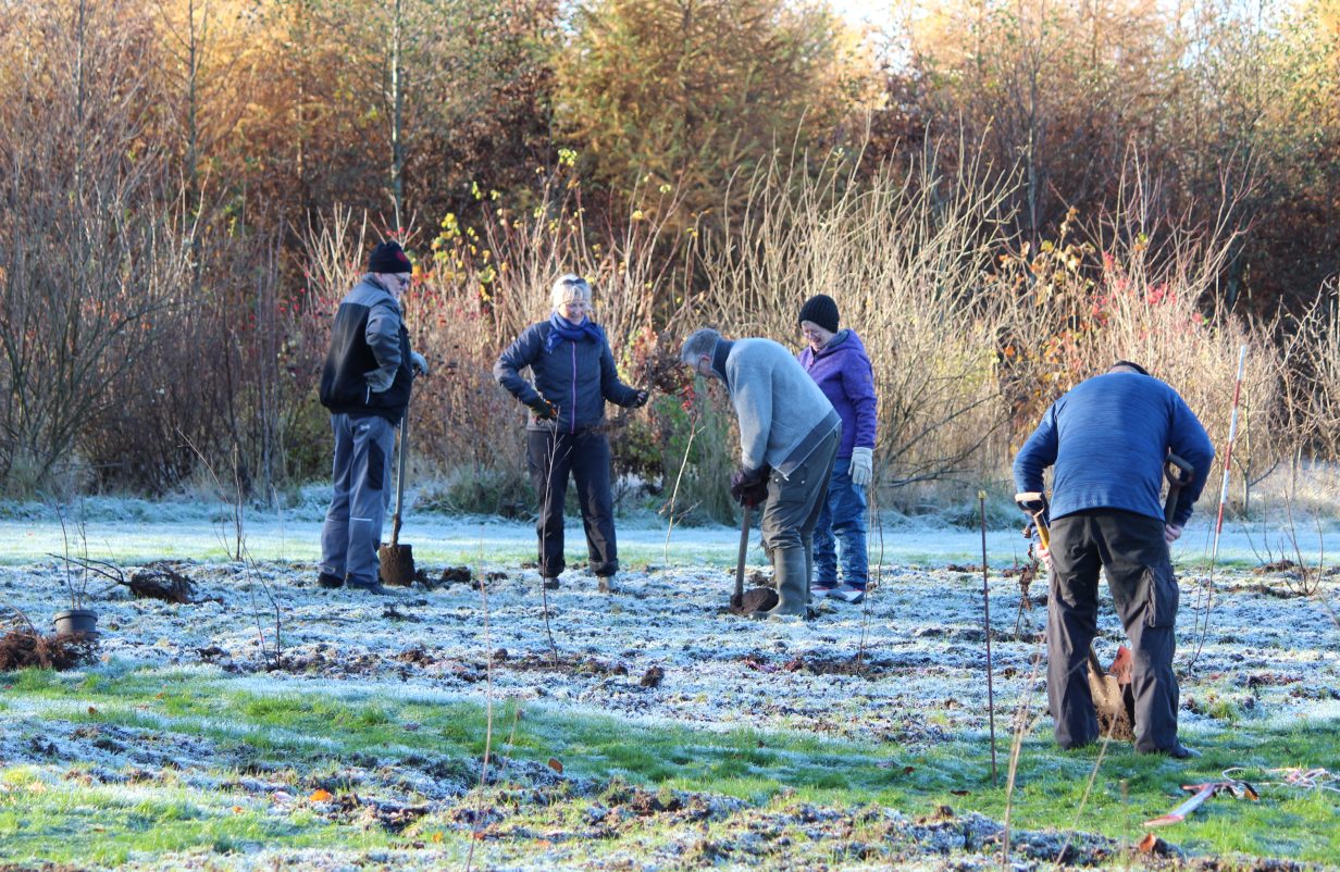 Villerslev-park-aspect-ratio-1232-802