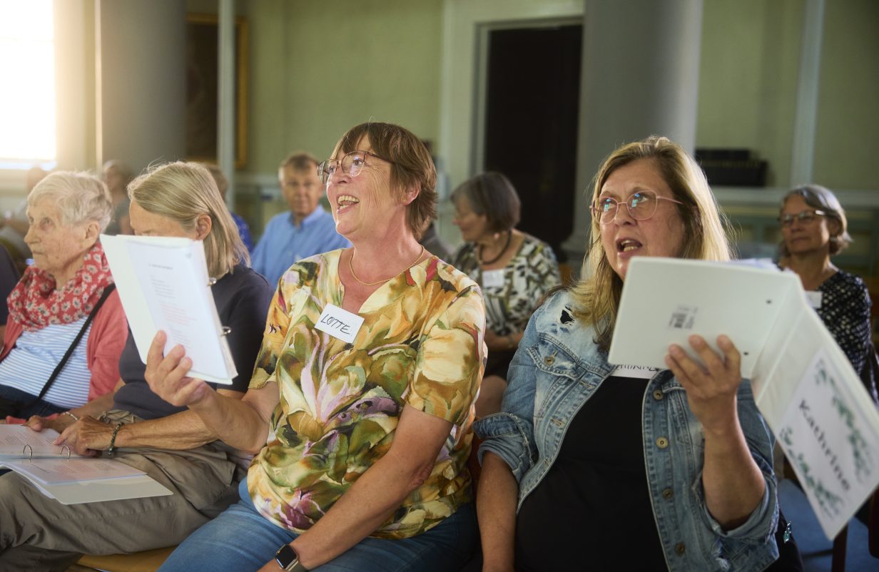 demenskor_Y9A4274-1-aspect-ratio-1232-802