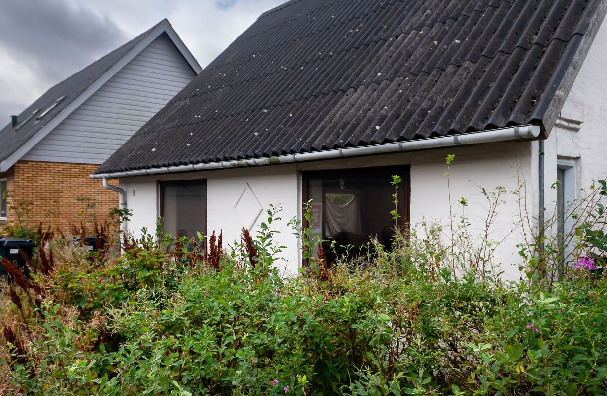 Design-uden-navn-2025-07-31T114636.784-aspect-ratio-1232-802