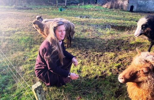 Skabelon-fotos144-aspect-ratio-1232-802