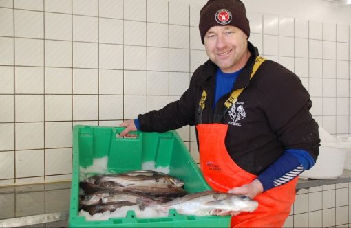 Unavngivet-1232-x-802-px-2025-12-30T115006.846-aspect-ratio-1232-802