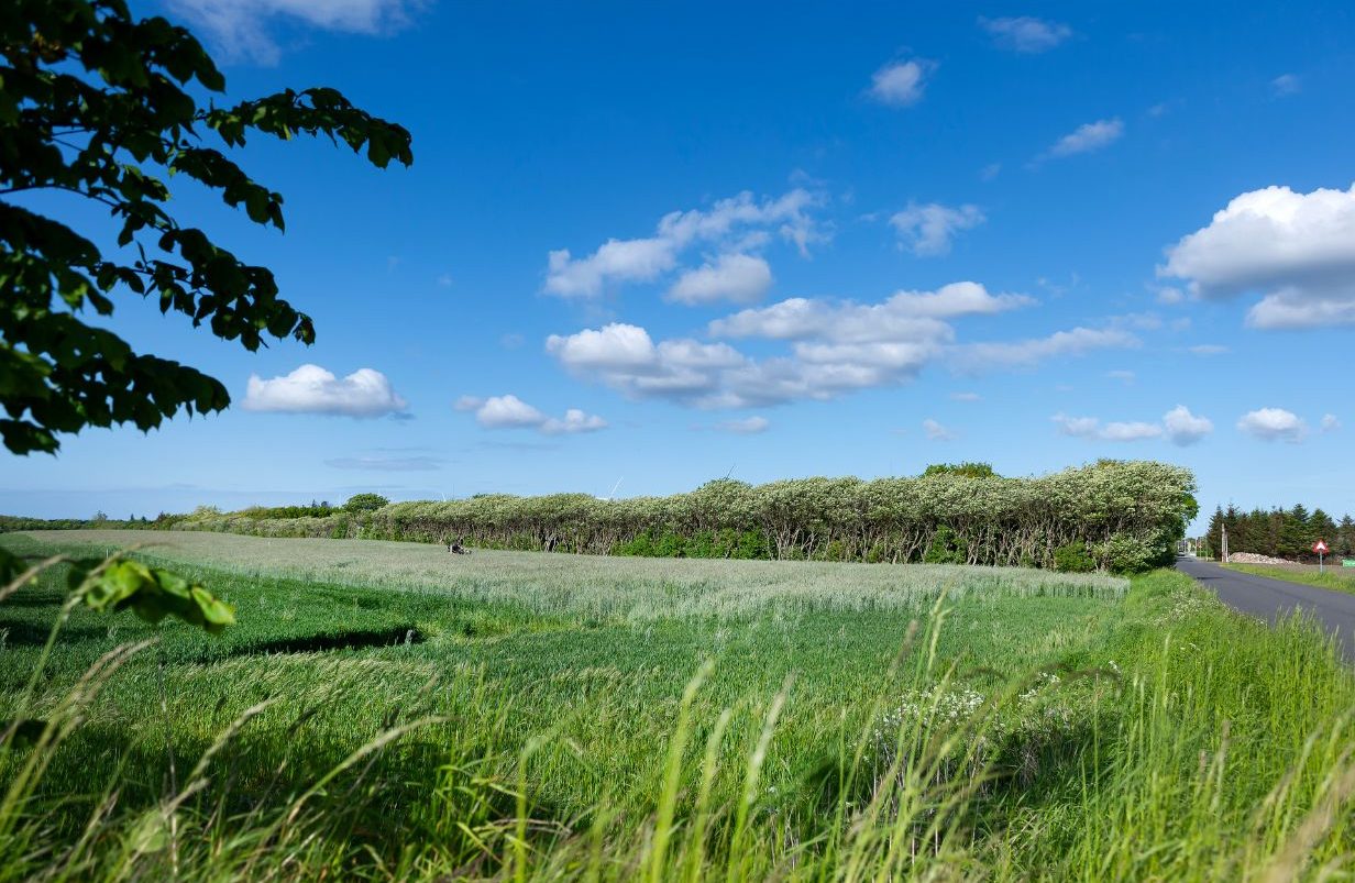 Design-uden-navn-2025-05-22T135635.379-aspect-ratio-1232-802