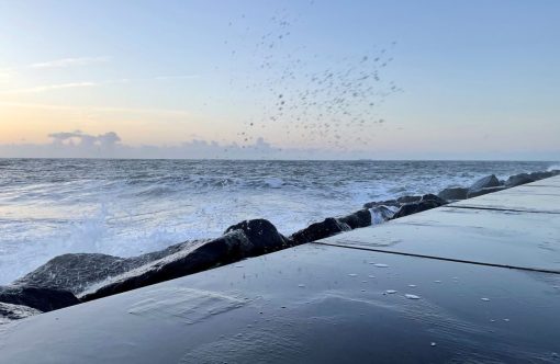 Skabelon-fotos173-aspect-ratio-1232-802