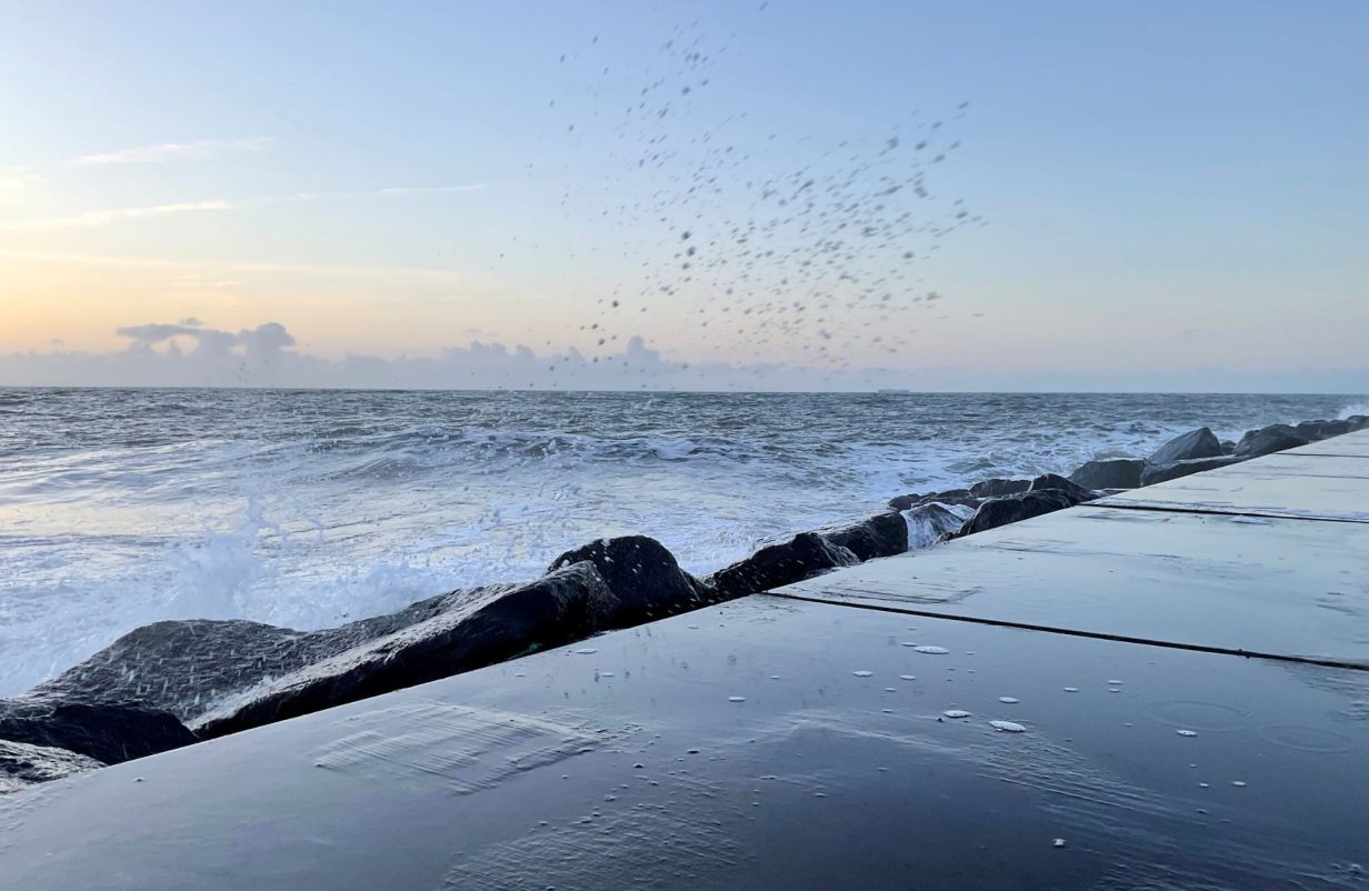 Skabelon-fotos173-aspect-ratio-1232-802