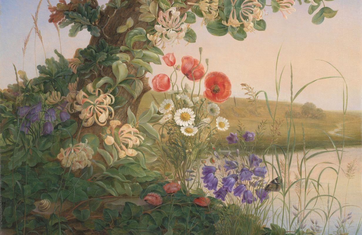 Unavngivet-1232-x-802-px-2026-01-02T085733.300-aspect-ratio-1232-802