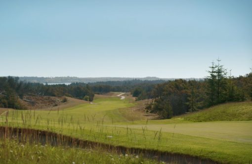 Unavngivet-1232-x-802-px-2026-01-22T141308.313-aspect-ratio-1232-802