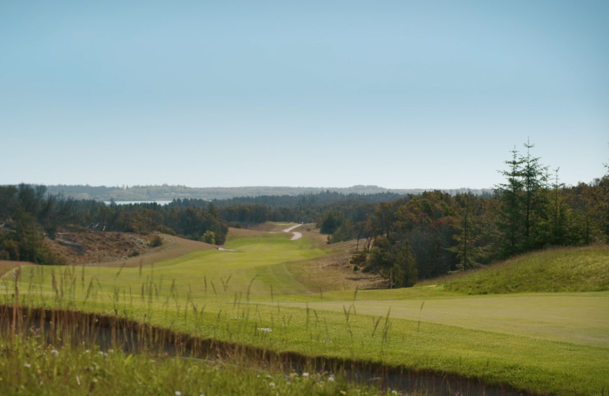 Unavngivet-1232-x-802-px-2026-01-22T141308.313-aspect-ratio-1232-802