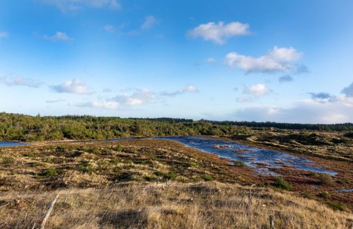 Design-uden-navn-2025-05-30T104443.050-aspect-ratio-1232-802