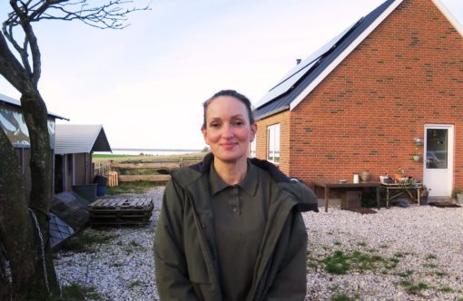 design-uden-navn44-aspect-ratio-1232-802