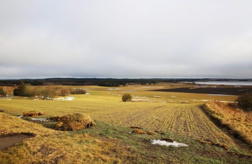 design-uden-navn61-aspect-ratio-1232-802