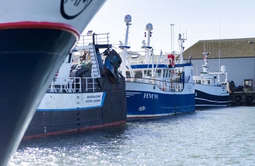 Hanstholm-Havn08-kopier-aspect-ratio-1232-802