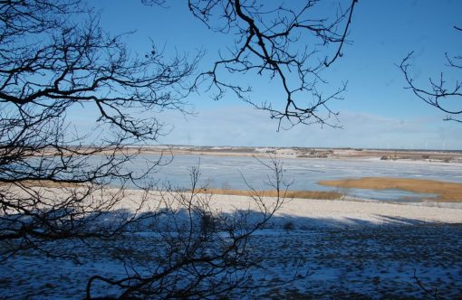 Unavngivet-1232-x-802-px-2026-02-20T094433.238-aspect-ratio-1232-802