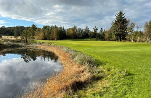 Unavngivet-1232-x-802-px-2026-03-13T171739.850-aspect-ratio-1232-802