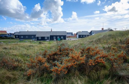 Unavngivet-1232-x-802-px-2026-03-27T063508.521-aspect-ratio-1232-802