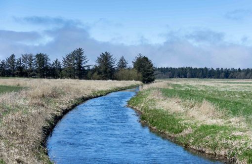 Egebaksande-lavbundsprojekt01-kopier-aspect-ratio-1232-802