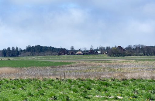 Egebaksande-lavbundsprojekt02-kopier-aspect-ratio-1232-802