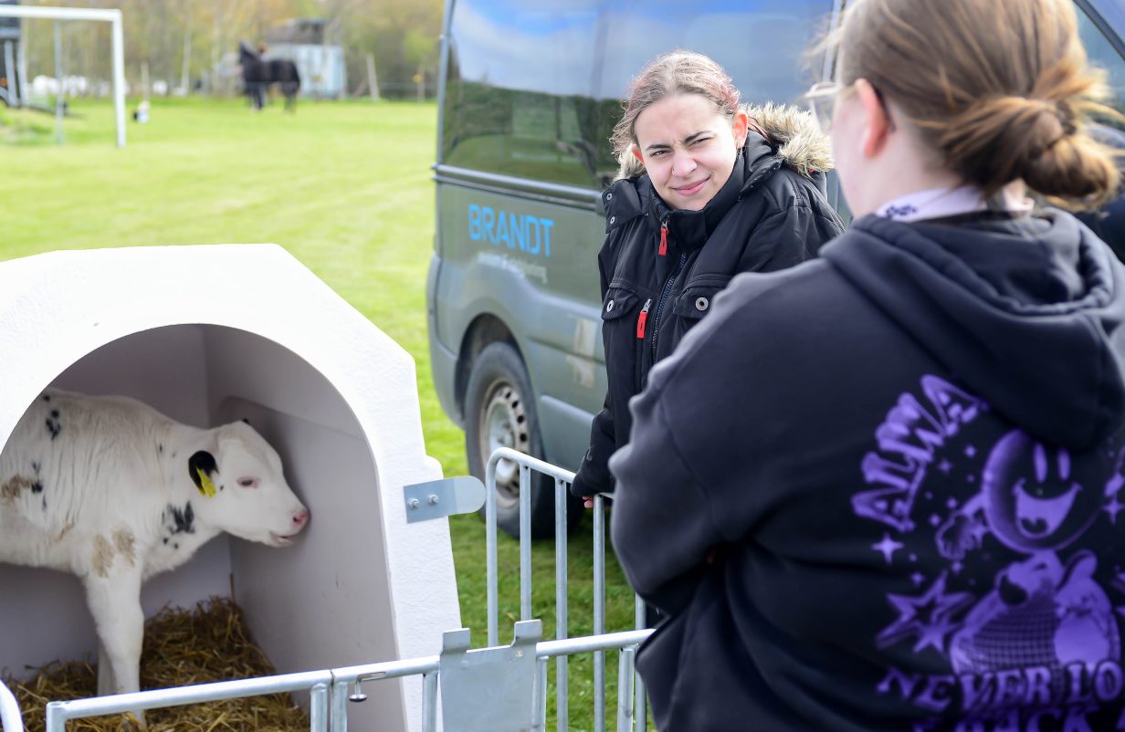 Elmelund01-kopier-aspect-ratio-1232-802