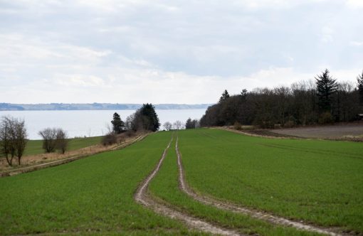 Natur-kopier-aspect-ratio-1232-802