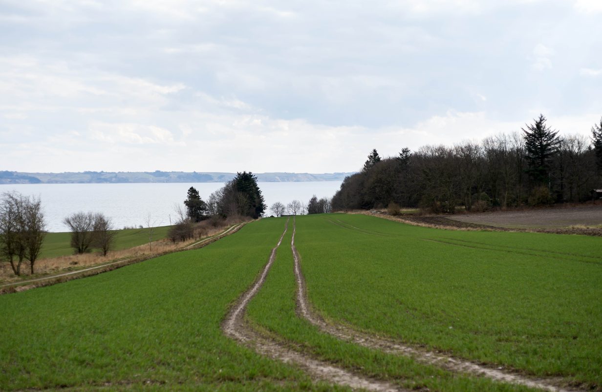 Natur-kopier-aspect-ratio-1232-802