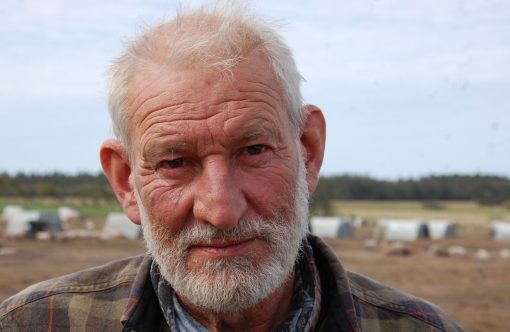 Lasse Korsgaard, Vang.
