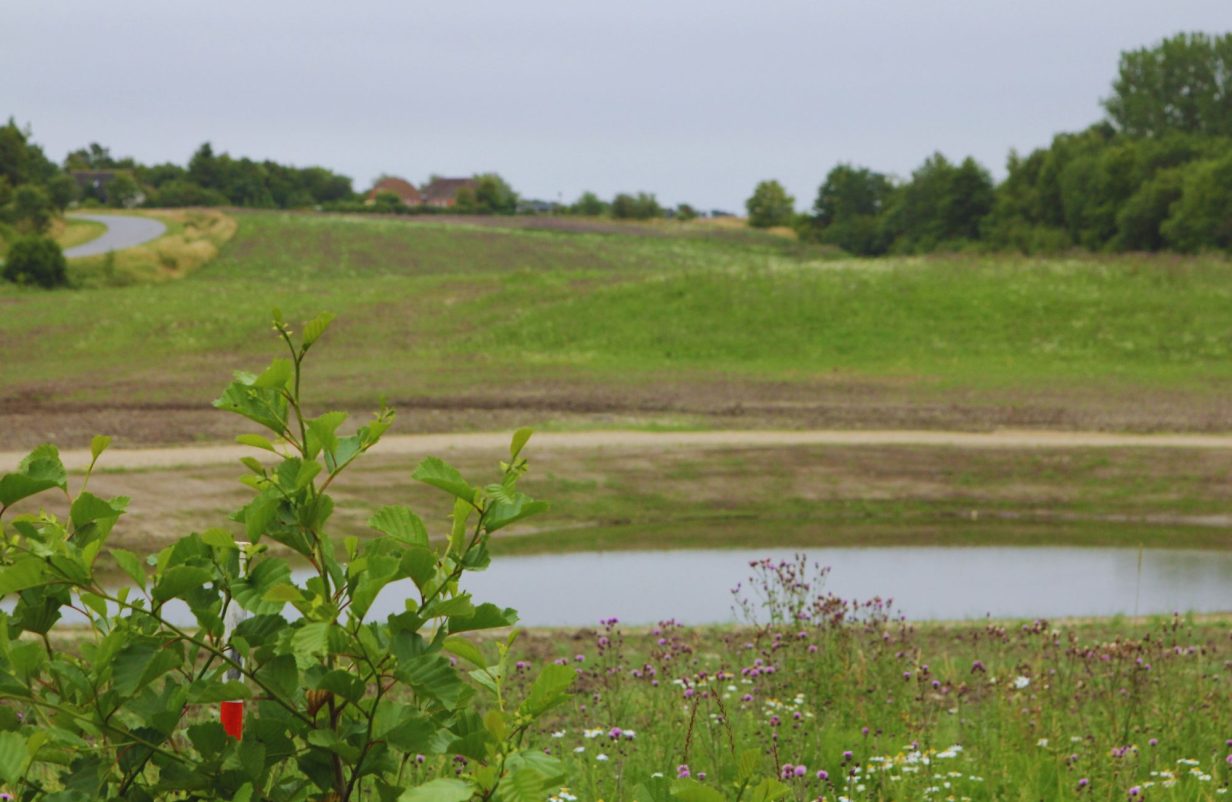 Dueholmkilen-Krydsning-Naessundvej-Cykelbro-Tegning-1.pdf300-aspect-ratio-1232-802