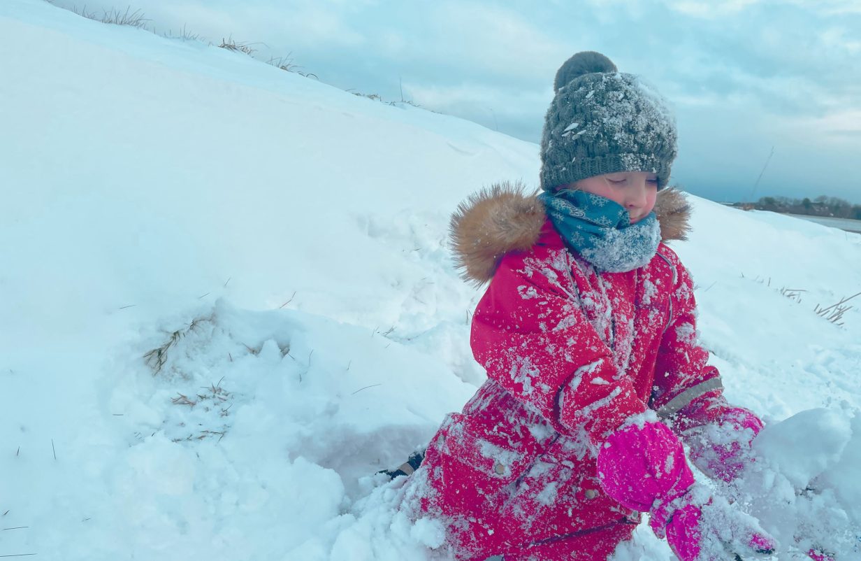 design-uden-navn30-aspect-ratio-1232-802