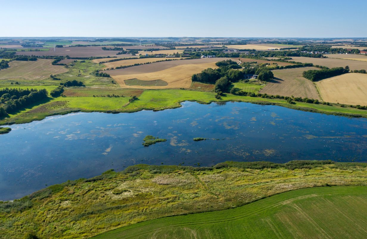 design-uden-navn168-aspect-ratio-1232-802