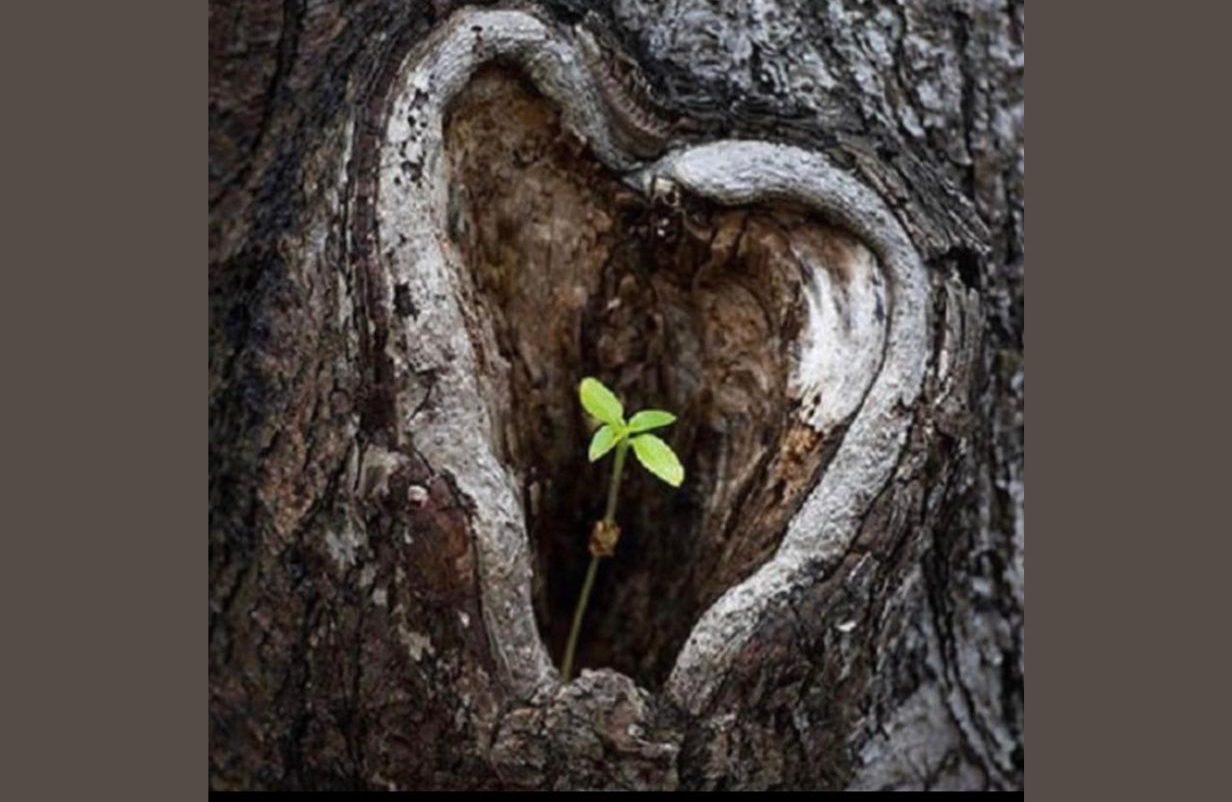 Design-uden-navn-2026-04-28T134555.581-aspect-ratio-1232-802