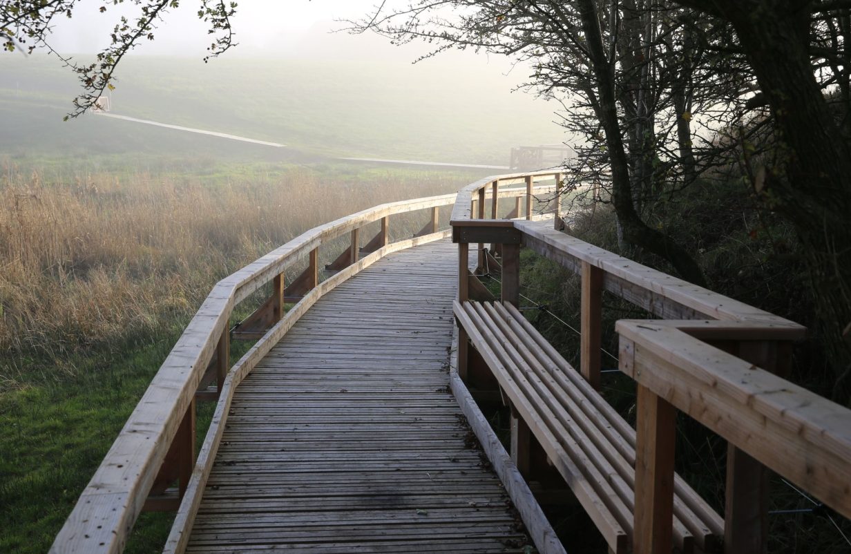 Dueholmkilen-Krydsning-Naessundvej-Cykelbro-Tegning-1.pdf303-aspect-ratio-1232-802