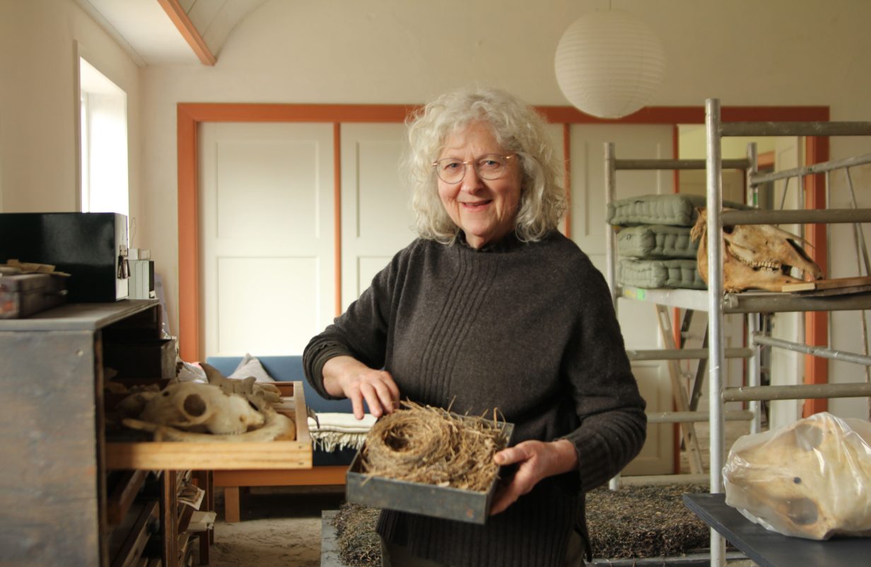 design-uden-navn210-aspect-ratio-1232-802