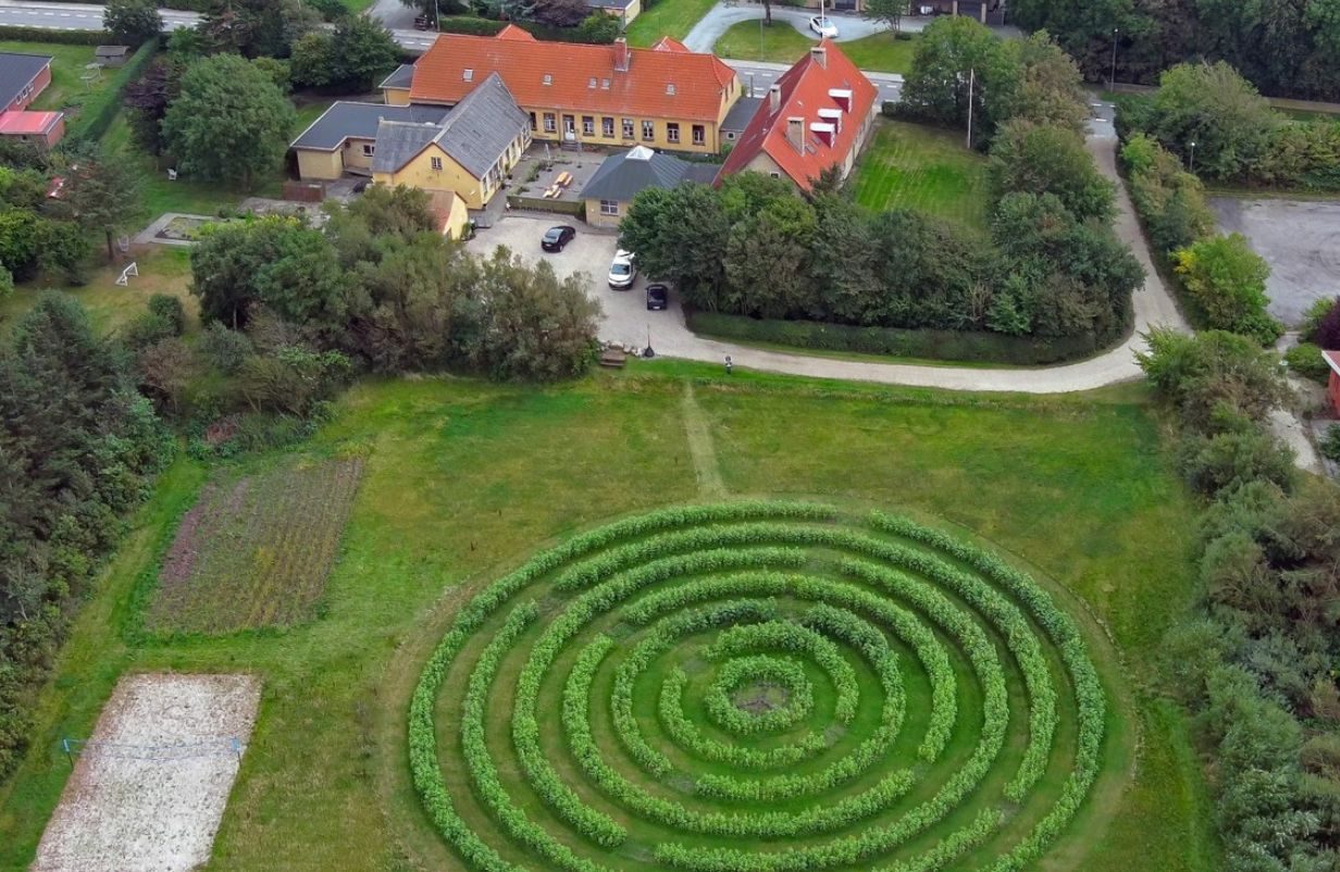 Unavngivet-1232-x-802-px-2026-02-11T101605.078-aspect-ratio-1232-802