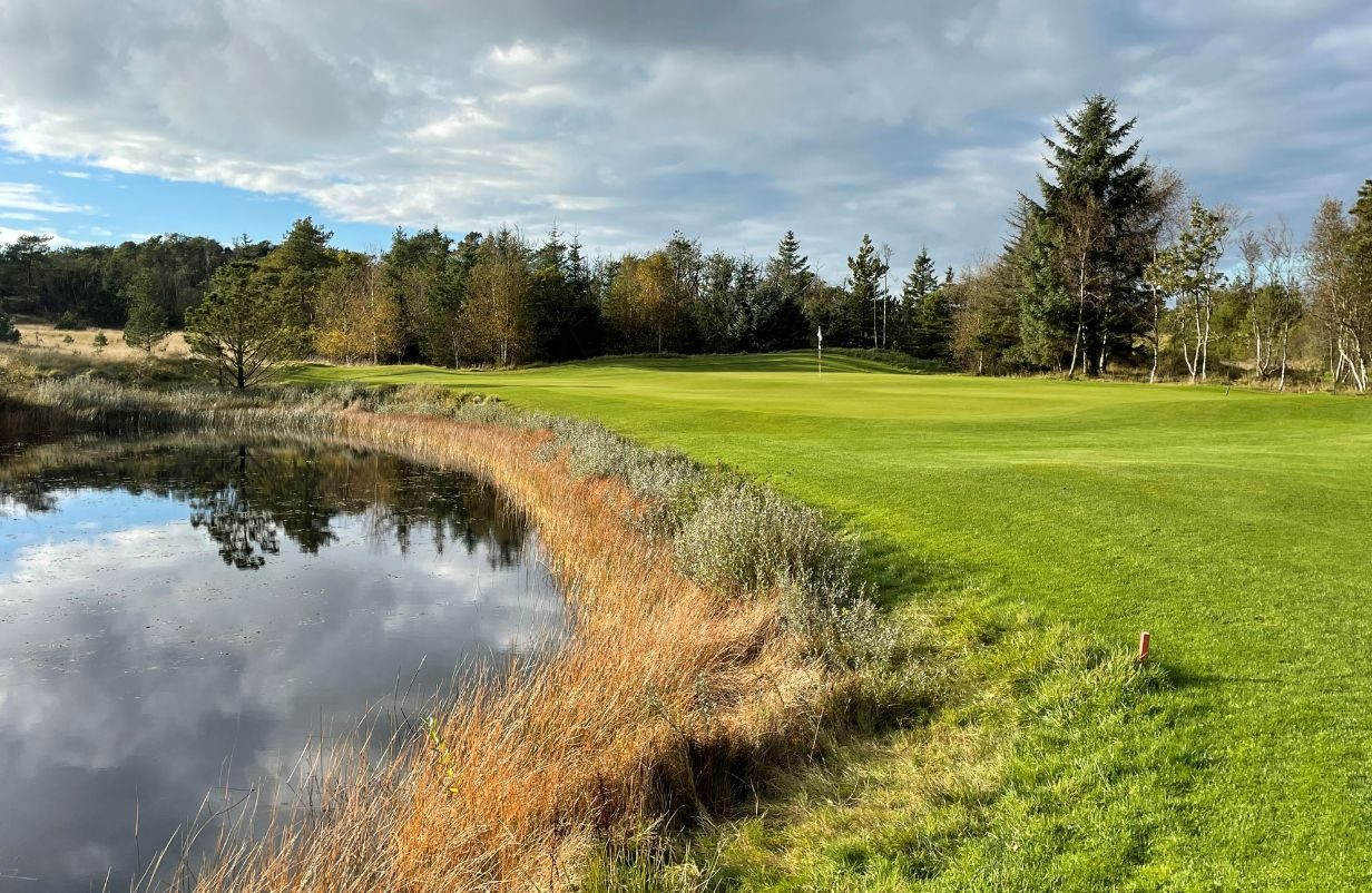 Unavngivet-1232-x-802-px-2026-03-13T171739.850-aspect-ratio-1232-802