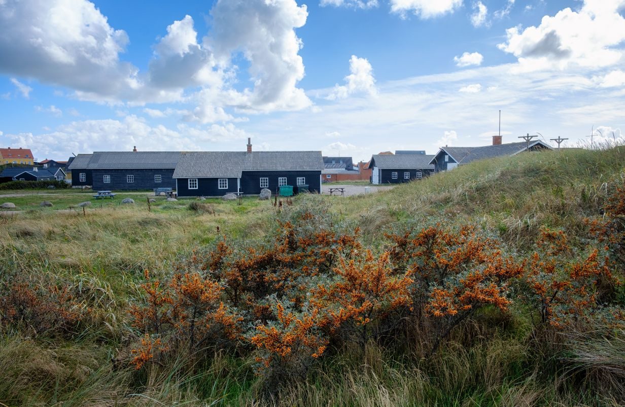 Unavngivet-1232-x-802-px-2026-03-27T063508.521-aspect-ratio-1232-802