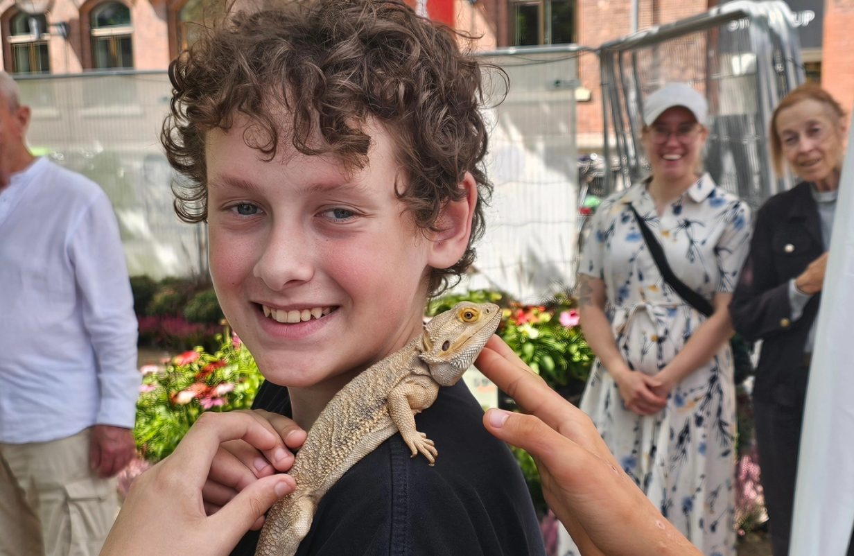 KRYBDYR-aspect-ratio-1232-802